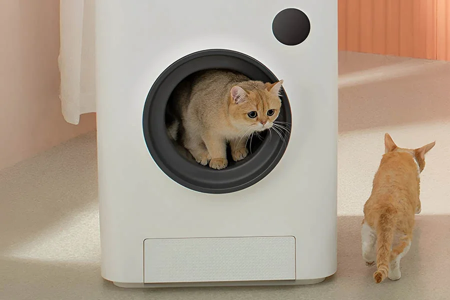 automatic kitten litter box