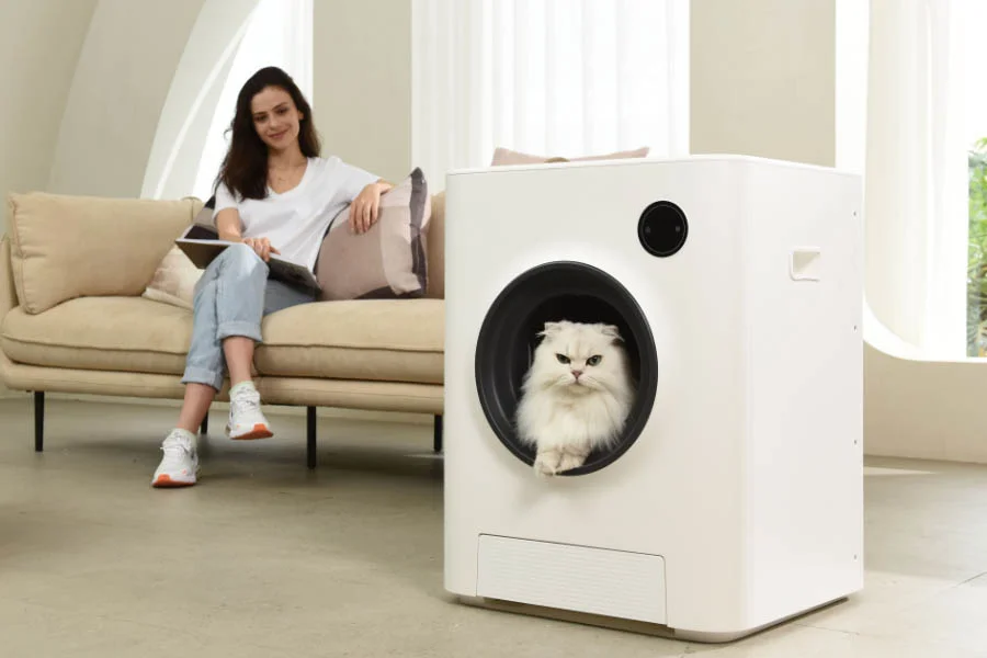 cat auto litter box